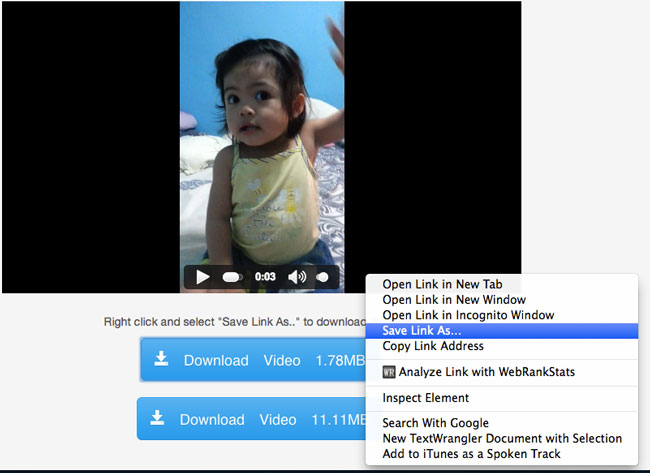 Download-private-facebook-video-step-4