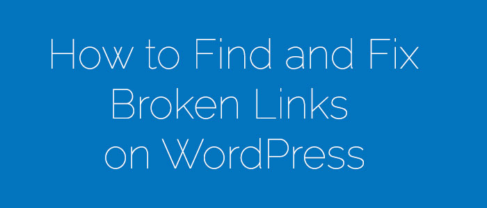 Detect-and-Fix-Broken-Links-on-WordPress-Website