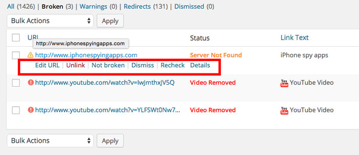 Detect-and-Fix-Broken-Links-on-WordPress-Website3
