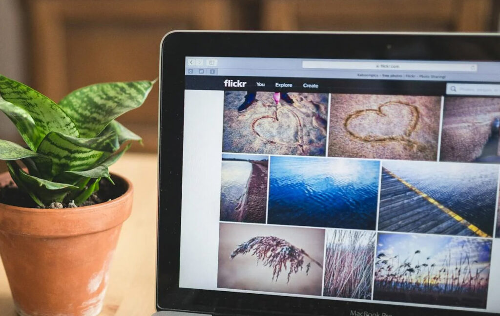 How to Organize Flickr Photos