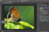 Photoshop Tutorials: The Burn Tool