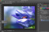 Photoshop Tutorials: The Dodge Tool