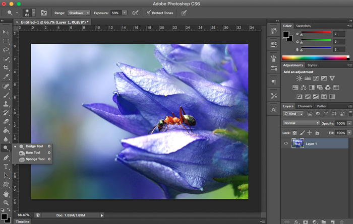 Photoshop Tutorials: The Dodge Tool