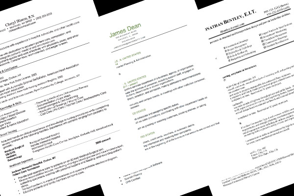 Resume Format Guide
