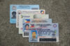 How to Replace Lost or Damaged Driver’s License, SSS ID, PhilHealth Card, Pag-IBIG ID & Voter’s ID