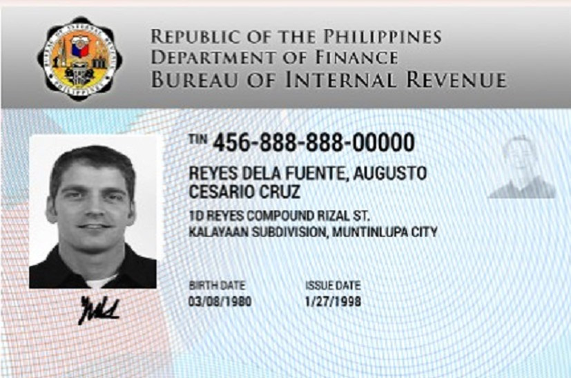 Applying For A Digitized Taxpayer s Identification Number TIN ID