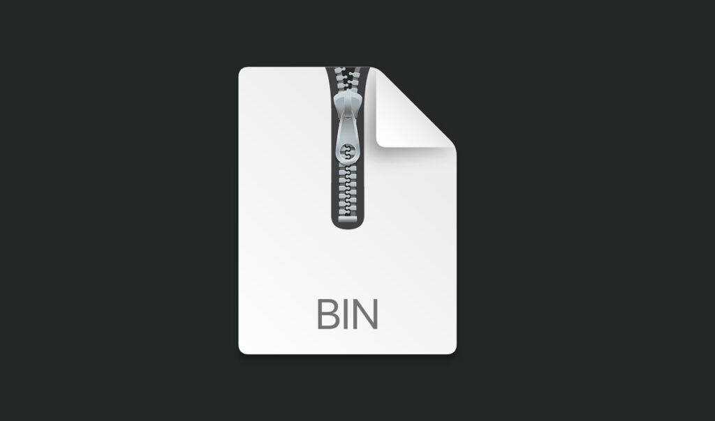 Open Bin File Sample