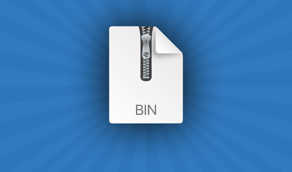 Open Bin File