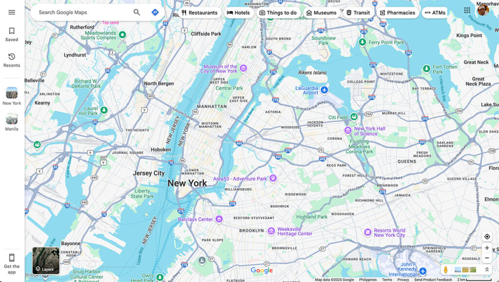 Google Maps Interface